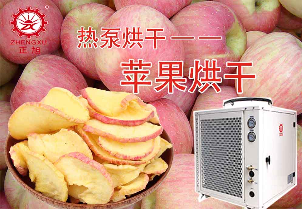 空氣能蘋(píng)果熱泵烘干機(jī) 空氣能蘋(píng)果熱泵烘干機(jī)