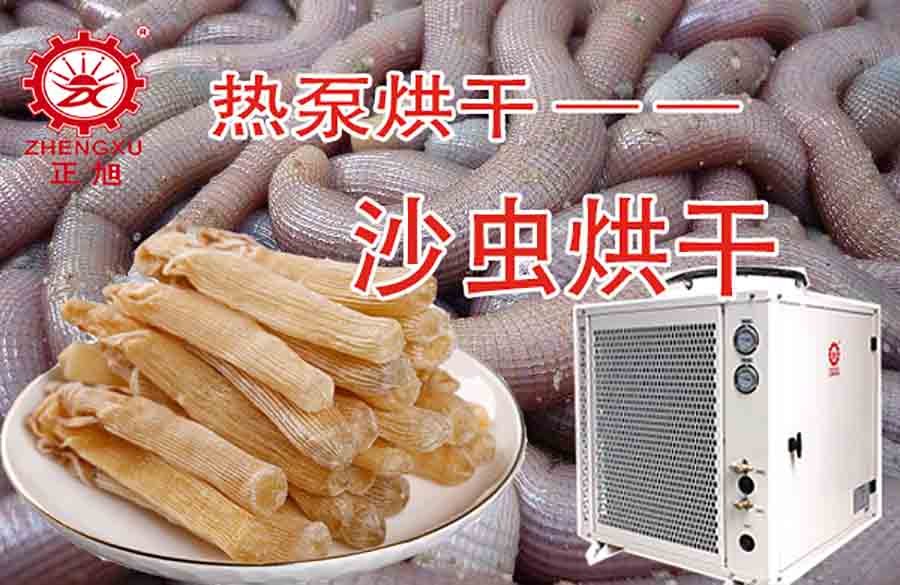 沙蟲(chóng)熱泵烘干機(jī) 沙蟲(chóng)熱泵烘干機(jī)