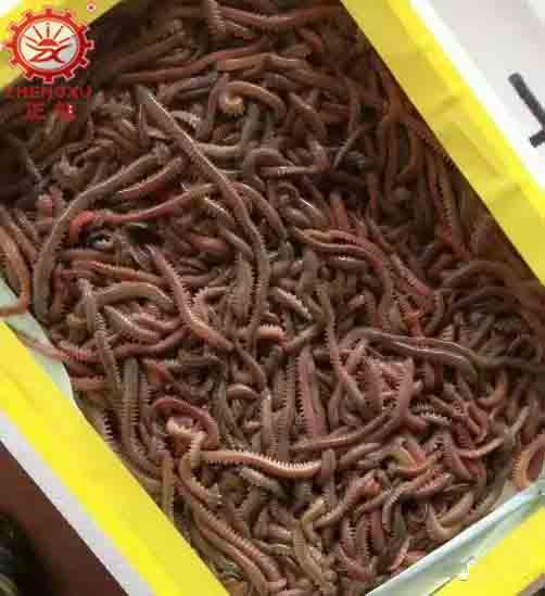 海產(chǎn)品烘干機廠家和烘干設(shè)備價格 海產(chǎn)品烘干機廠家和烘干設(shè)備價格