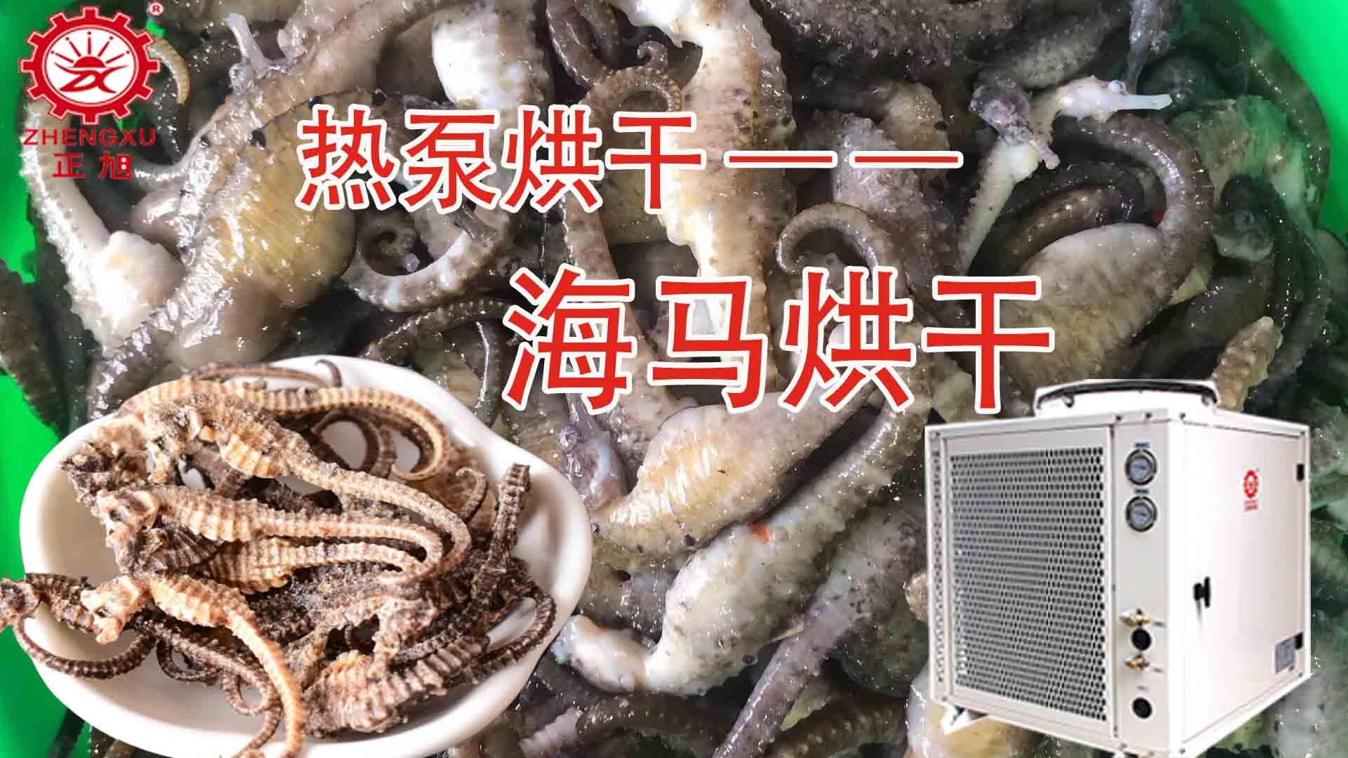 海馬熱泵烘干方法詳解（含研粉、清洗、宰殺、烘干時間）