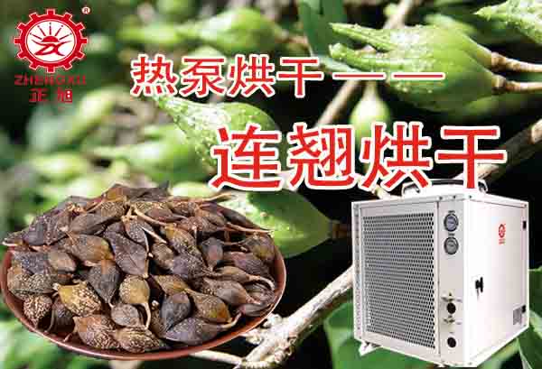 一噸連翹熱泵烘干需要多少錢？「熱泵烘干廠家」為你解答