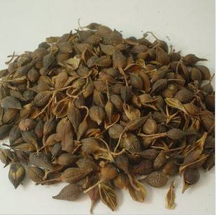連翹熱泵烘干工藝揭秘，烘干廠家「工藝分享」